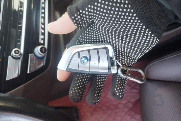 Used BMW 5 Series 2020 530Li Luxury Edition Premium Package