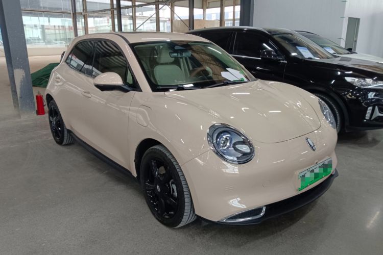 Used ORA Good Cat 2024 401 km Luxury Version