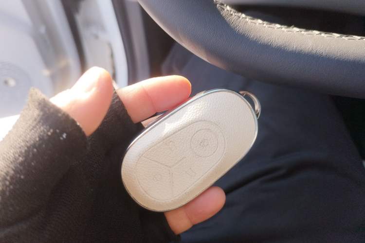 Used  Geome 2025 310km Youth Edition