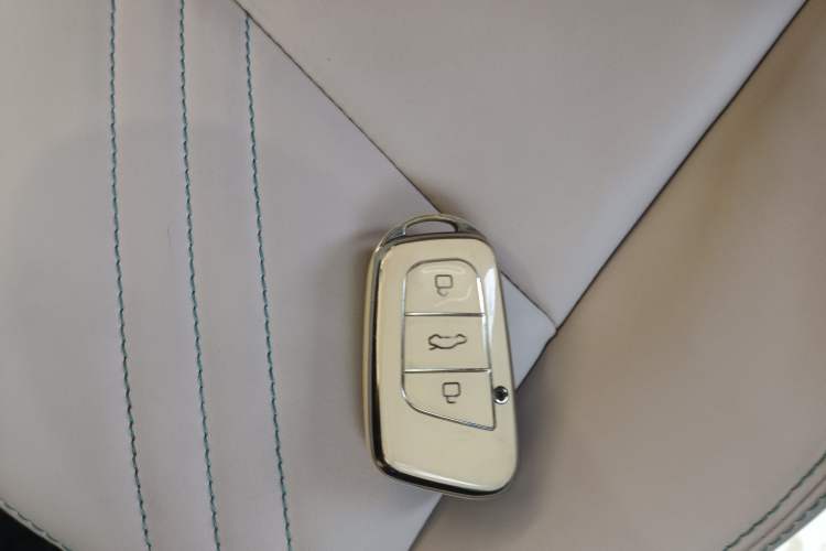 Used Chery Little Ant 2021 200 000-Yuan Ant Fan Edition Energized Version Lithium Iron Phosphate 301 km
