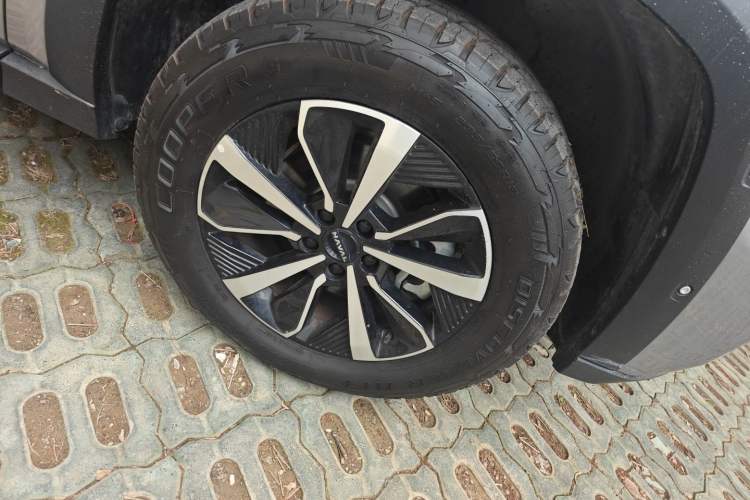 Used Haval H Dog 2023 2.0T All-Wheel-Drive Chaoye Plus
