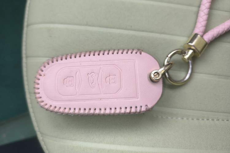 Used  Panda 2023 Panda Mini 200km Dynamic Bear
