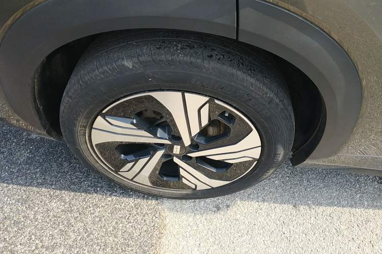 Used  E5 2024 530km Starship Edition
