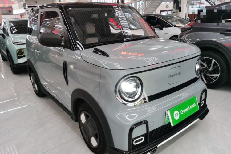 Used  Panda 2024 200km Panda Kart
