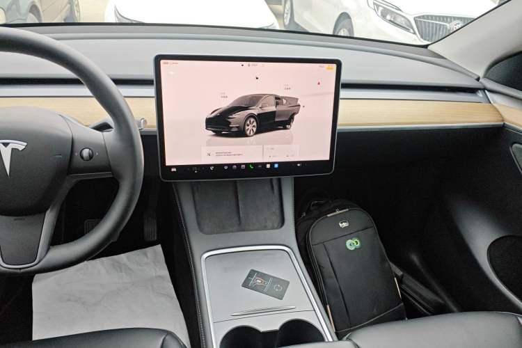 Used Tesla Model Y 2022 Rear-Wheel-Drive Version
