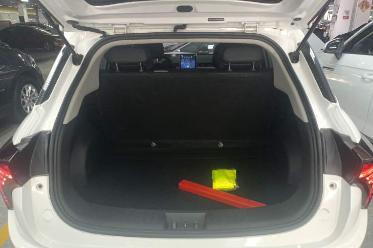 Used NETA V 2021 Standard Range Entertainment Edition
