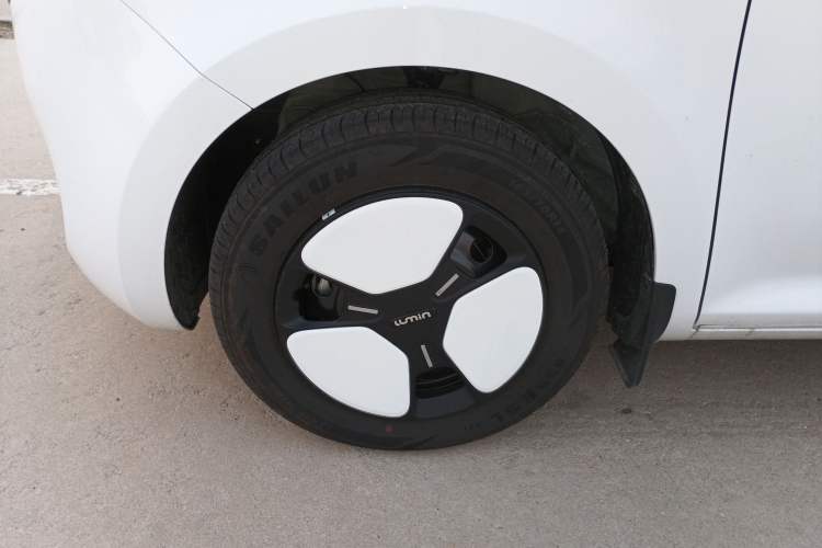 Used  Lumin 2025 301km Honey Dew Edition