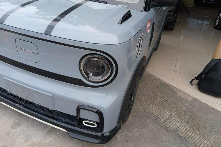 Used  Panda 2024 200km Panda Kart
