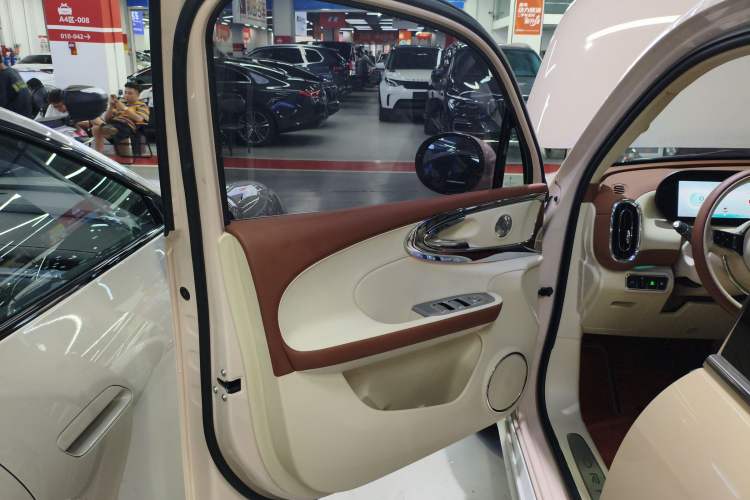 Used ORA Ballet Cat 2023 401 km Luxury Version
