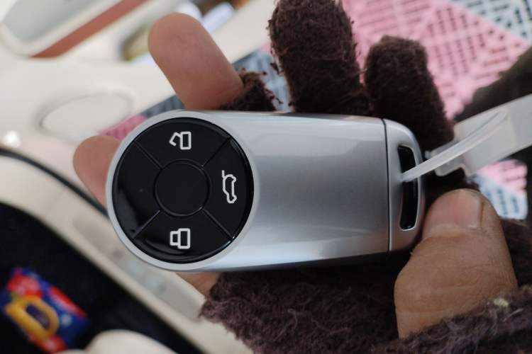 Used ORA Ballet Cat 2022 401 km Nutcracker Edition