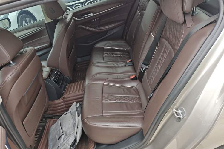 Used BMW 5 Series New Energy 2020 530Le Luxury Package
