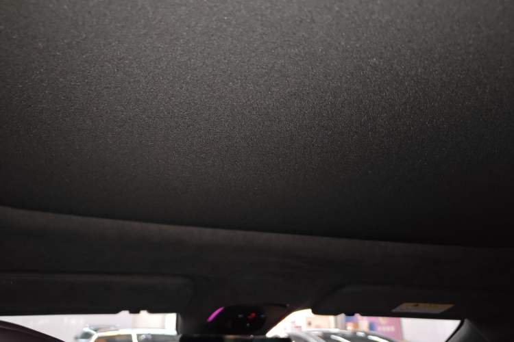 Used  07 2024 Max Extended-Range Edition
