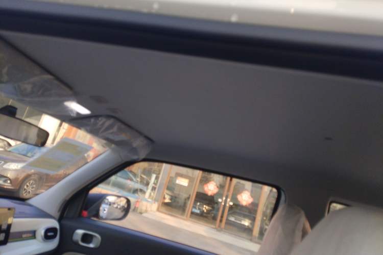 Used  Panda 2025 210 km – Yuanqi Bear