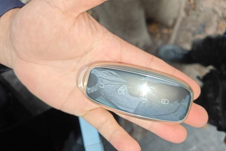 Used Denza D9 2022 DM-i 1040 Prestige Model