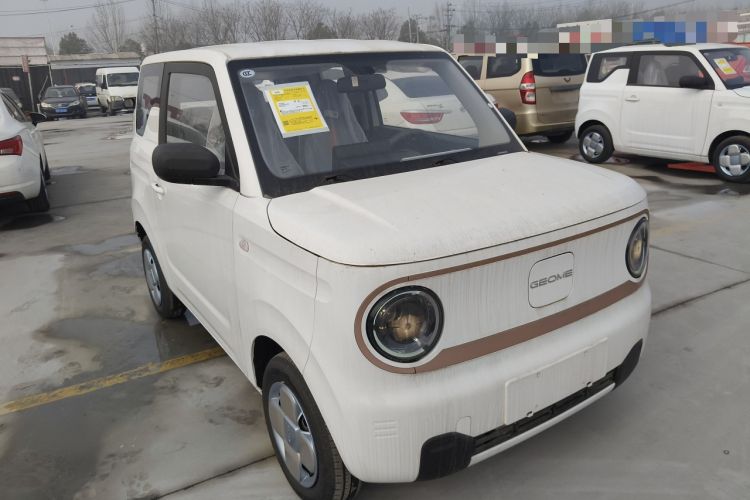 Used  Panda 2024 Panda Mini 200km Endurance Bear

