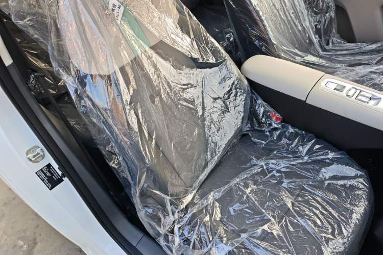 Used  Lumin 2025 205 km Xiangqin Version
