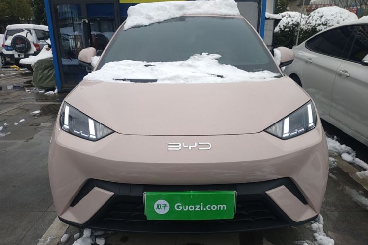 Used BYD Seagull 2024 Honor Edition 305km Freedom Version
