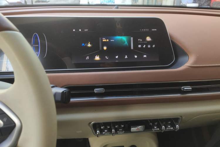 Used ORA Good Cat 2022 400km Standard Range Luxury Version Lithium Iron Phosphate