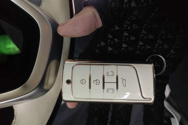 Used GAC Trumpchi M8 2021 Revised Version Lingxiu Series 390T Luxury Edition