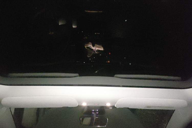 Used Tesla Model Y 2021 Performance High-Performance All-Wheel-Drive Version
