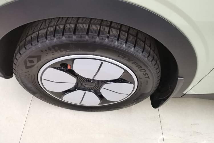 Used  Geome 2025 410 km Free Version