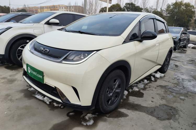 Used BYD Dolphin 2024 Honor Edition 302km Dynamic Version