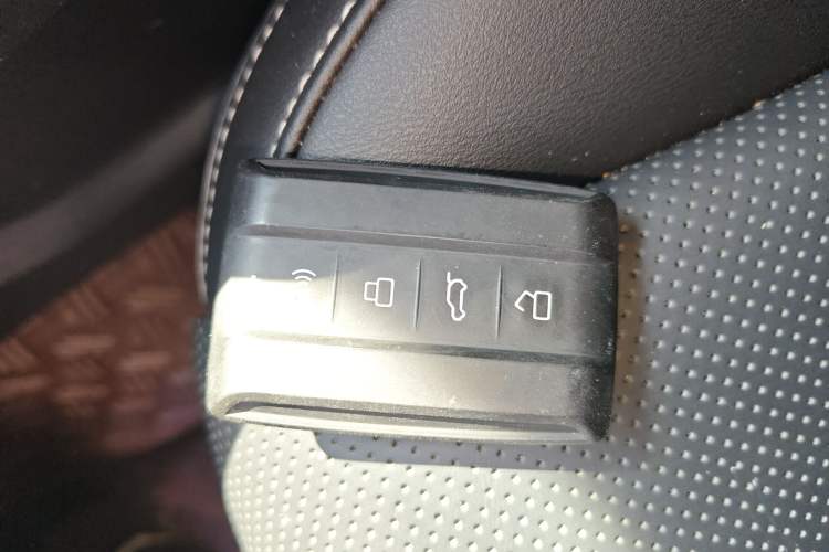 Used Tank 300 2023 2.0T Iron Rider 02