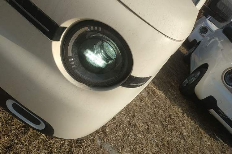 Used  Panda 2025 210 km – Yuanqi Bear
