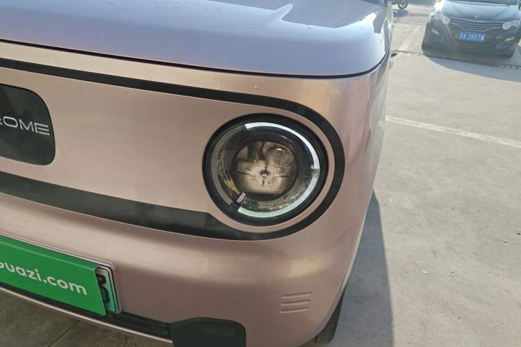 Used  Panda 2023 Panda Mini 200km Endurance Bear
