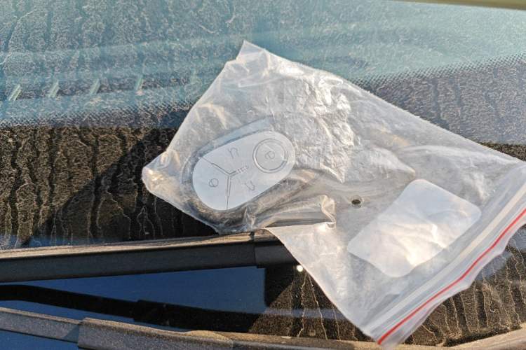 Used  Geome 2025 310km Youth Edition
