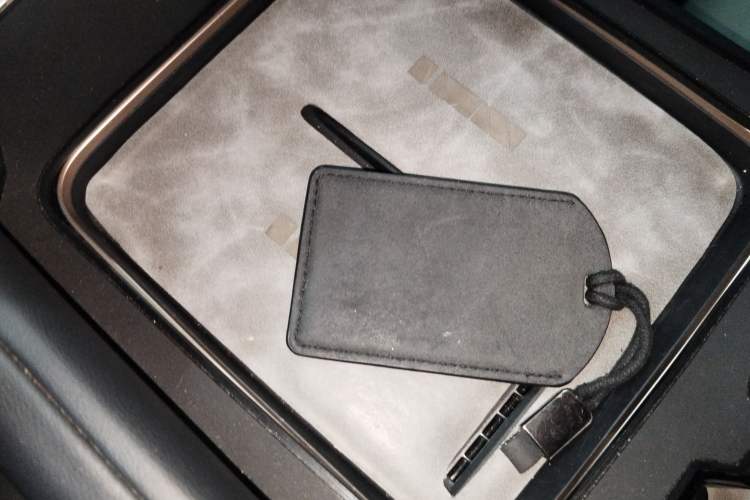 Used  03 2024 501km Two-Wheel Drive Long-Range Version