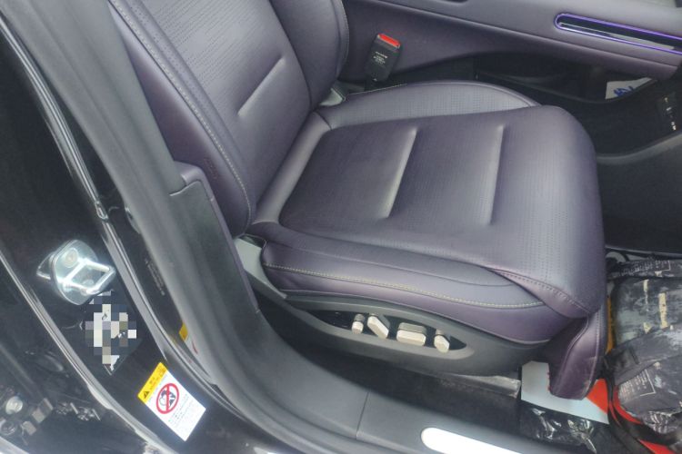 Used  07 2024 Max Pure Electric Edition
