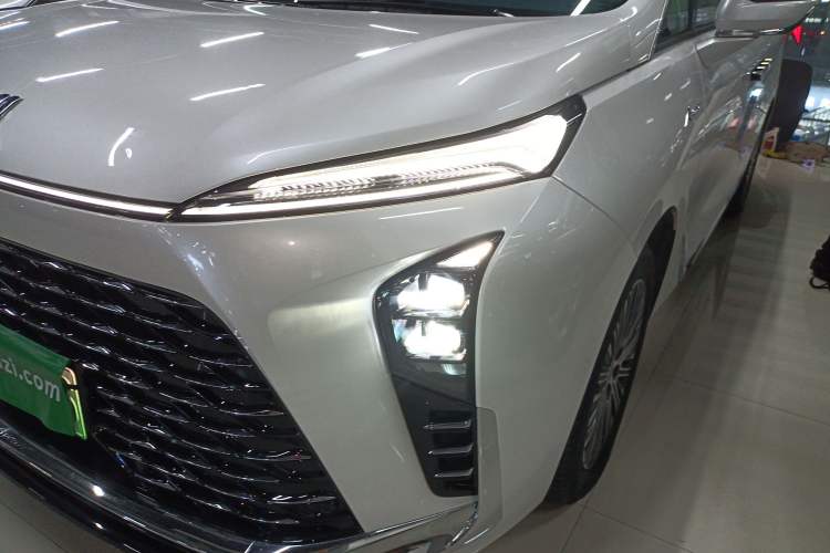 Used Buick GL8 New Energy 2024 Lu Zun Luxury Edition 6-Seater
