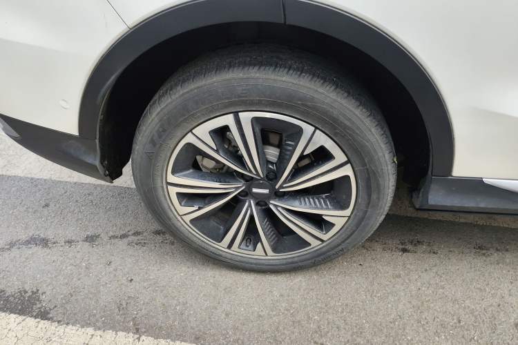 Used Wey Latte DHT 2022 1.5T DHT Extra-Large Cup
