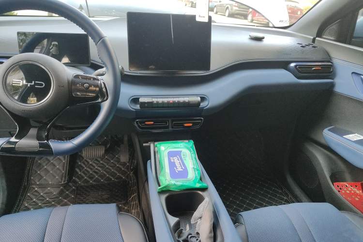 Used BYD Seagull 2025 305 km Free Version
