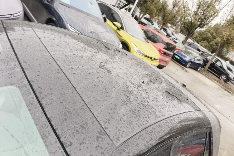 Used  firefly 2025 Illuminated Edition