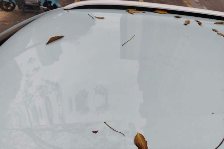 Used Dongfeng NAMMI EX1 2022 PRO Yuecheng Model
