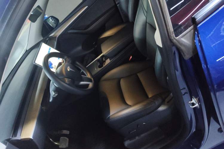 Used Tesla Model Y 2021 Standard Range Rear-Wheel Drive Version
