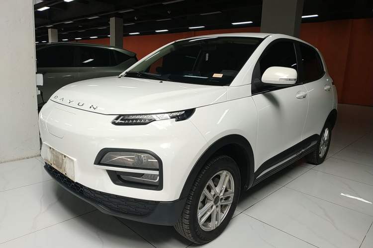 Used Dayun Yuehu 2022 300 Standard Edition
