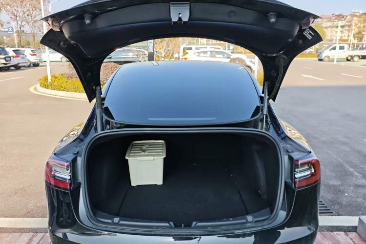 Used Tesla Model 3 2021 Standard Range Rear-Drive Upgraded Version
