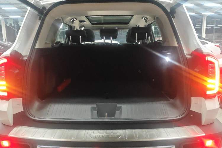 Used Haval DARGO 2021 2.0T DCT 4x4 Chinese Rural Dog Edition
