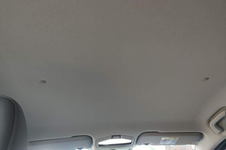 Used Geometry E Firefly 2022 320KM Cute Tiger 4-Seater