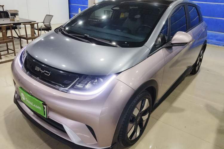 Used BYD Dolphin 2021 401km Knight Edition
