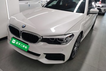 Used BMW 5 Series 2019 530Li Leading Model M Sport Package