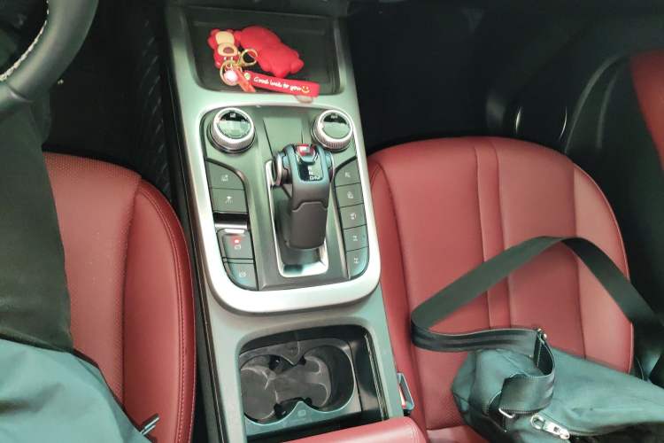 Used Tank 300 2024 2.0T Conqueror
