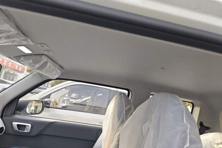 Used  Panda 2024 Panda Mini 200km Endurance Bear
