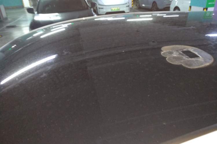 Used Chery Little Ant 2022 Me 301km Romance Phosphate Lithium-Iron
