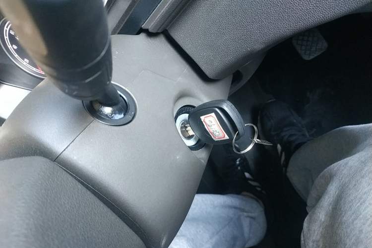 Used Ruichi EC71 2024 EC71L Cargo Pioneer I Model 41.85 kWh
