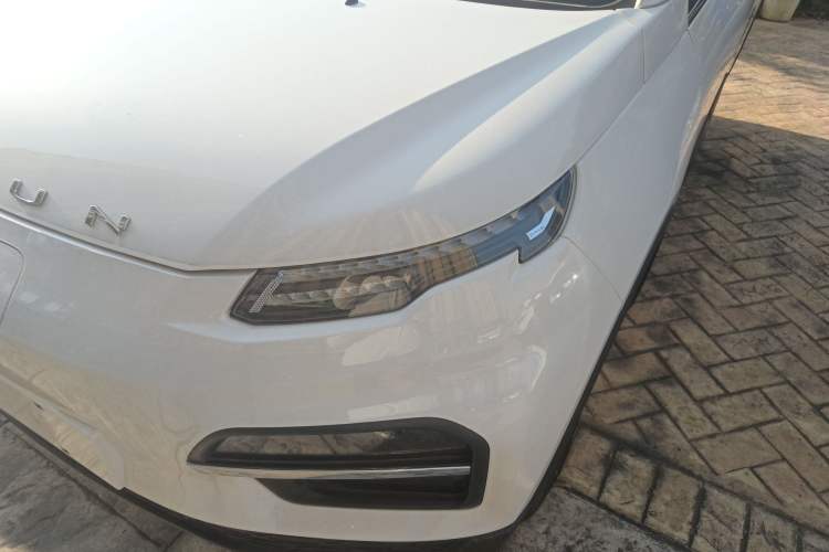 Used Dayun Yuehu 2023 300 Standard Edition
