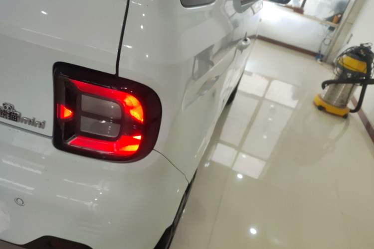 Used  Panda 2024 Panda Mini 200km Endurance Bear